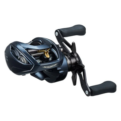 Daiwa Steez A II TW 1000 (2023)